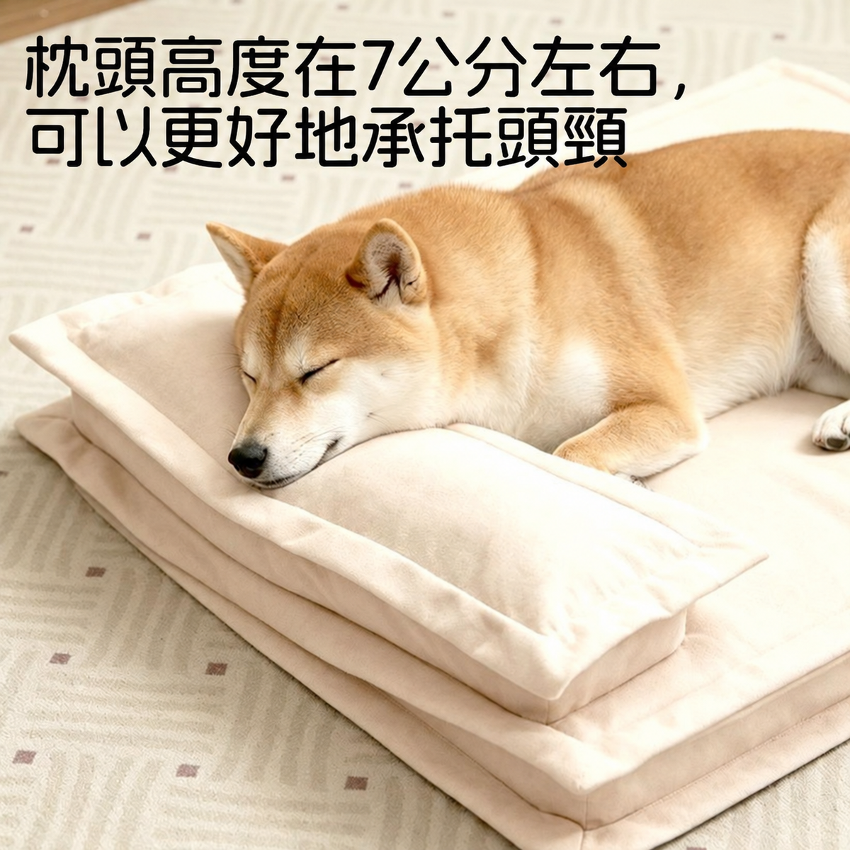 可拆洗防水狗床｜四季通用中小型犬睡墊