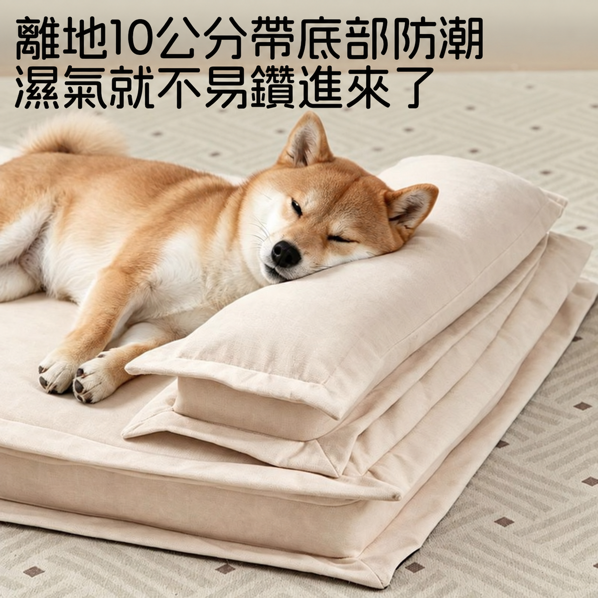 可拆洗防水狗床｜四季通用中小型犬睡墊