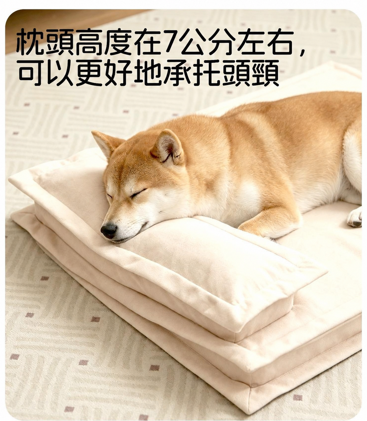 可拆洗防水狗床｜四季通用中小型犬睡墊
