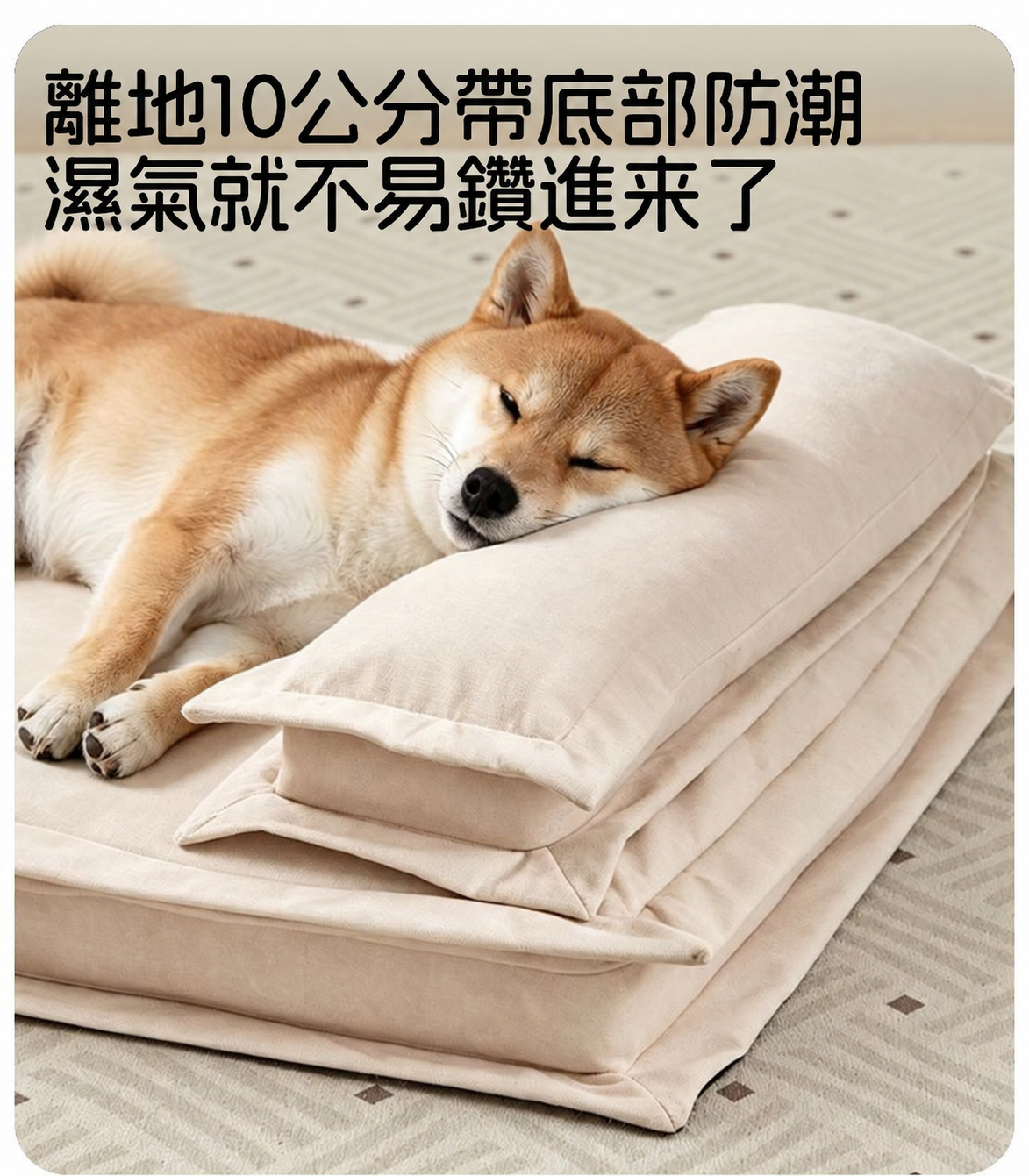 可拆洗防水狗床｜四季通用中小型犬睡墊
