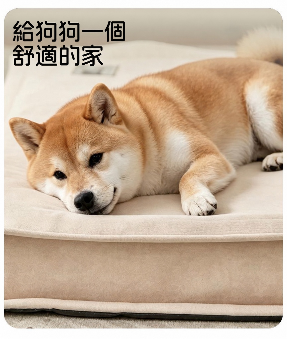 可拆洗防水狗床｜四季通用中小型犬睡墊