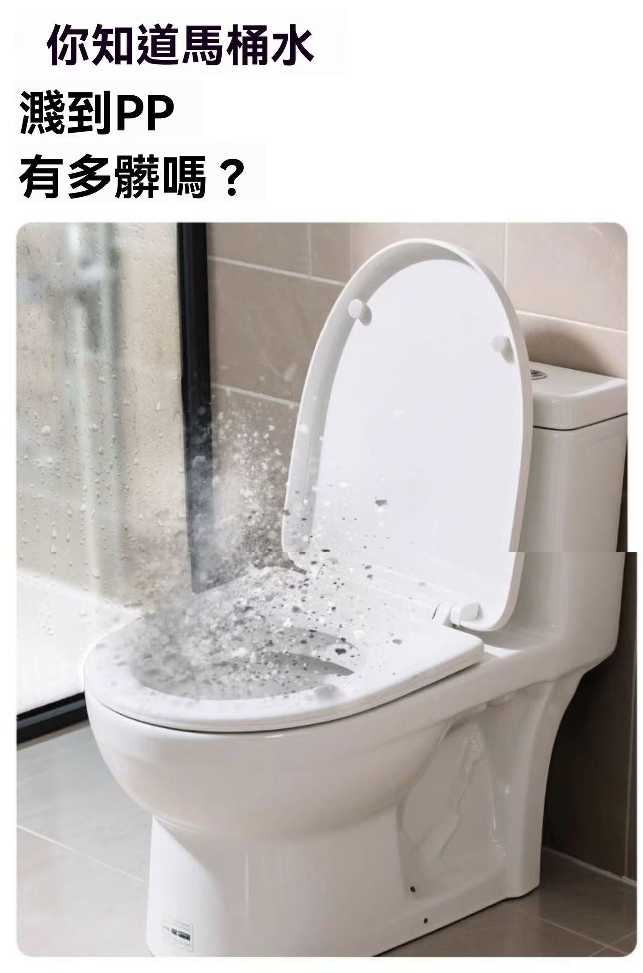 馬桶防濺顆粒
