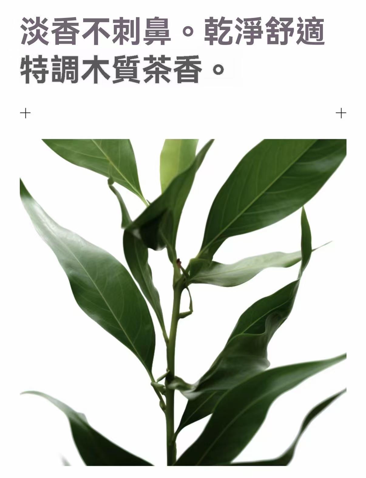男士五號蓬鬆水