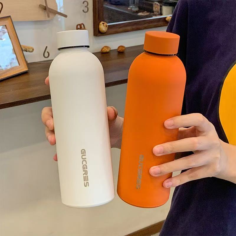 Minimalist Frosted Portable Sports Water Bottle (Summer Sale Price 🧧)