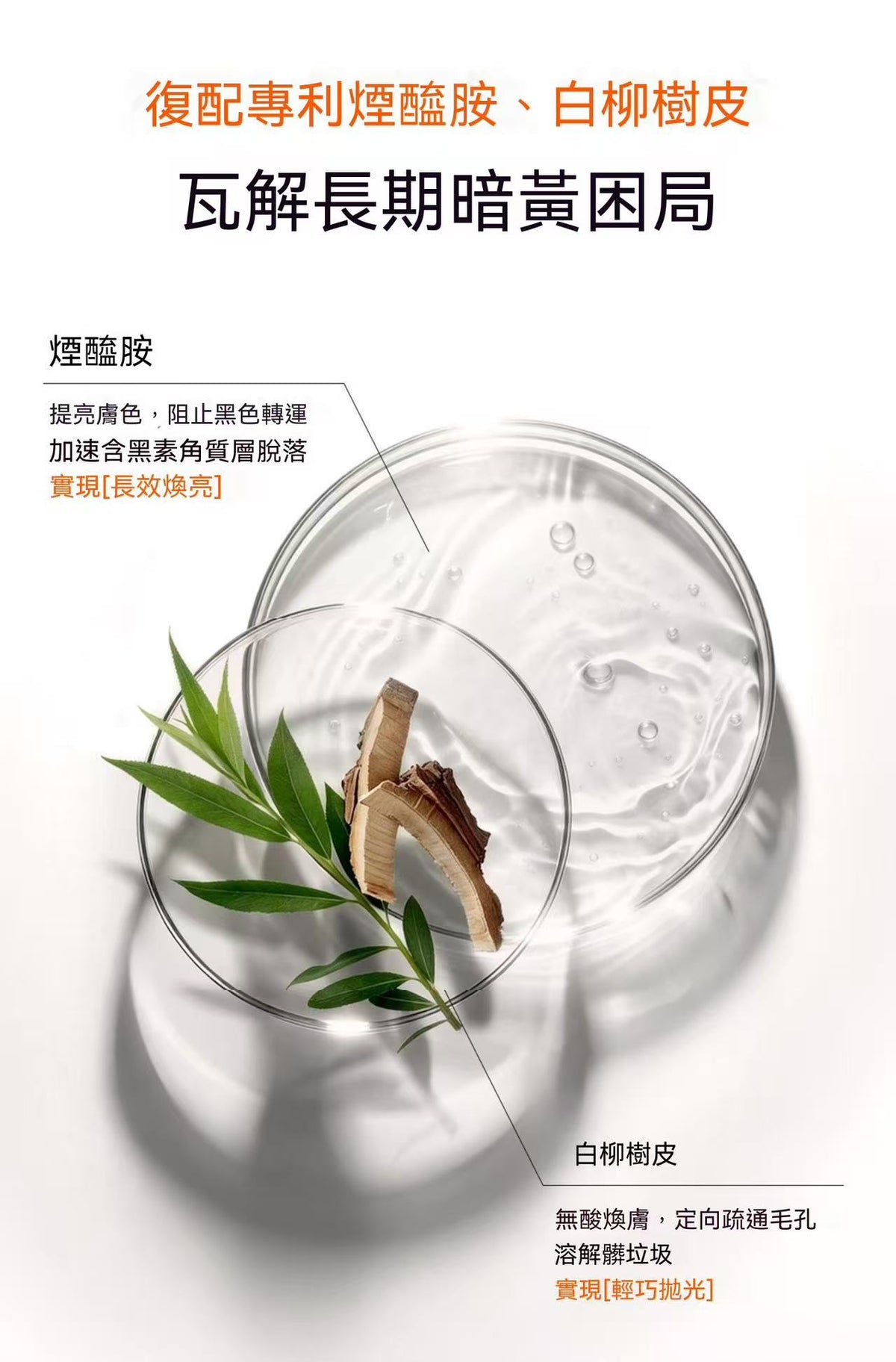 大橘罐拋光膜美容院刷酶療清潔泥膜去角質黑頭煥亮