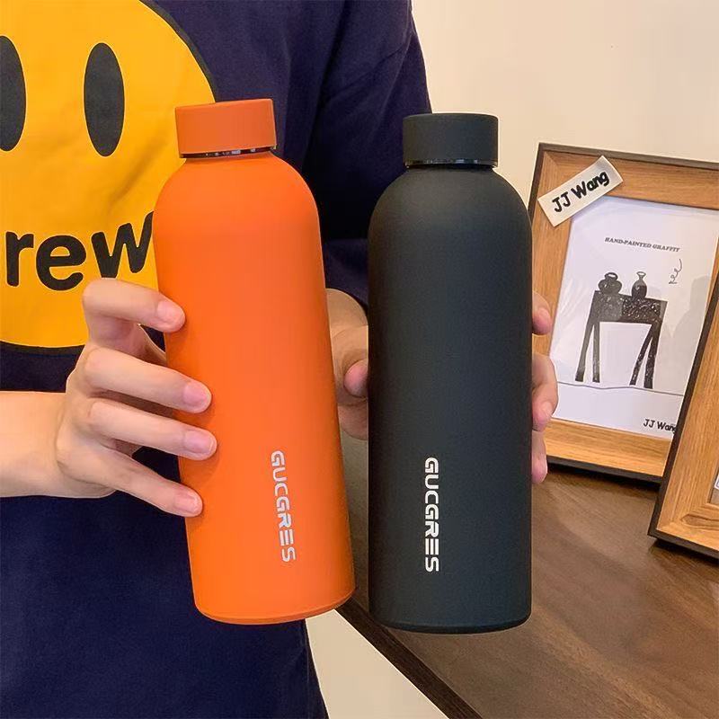 Minimalist Frosted Portable Sports Water Bottle (Summer Sale Price 🧧)