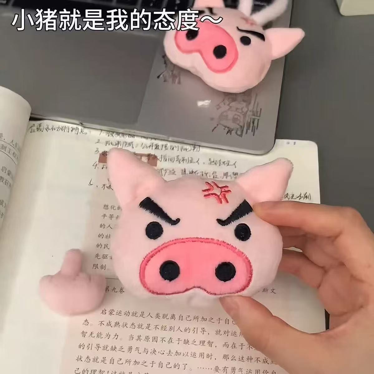 （素質豬🐷）憤怒中指小豬毛絨掛件