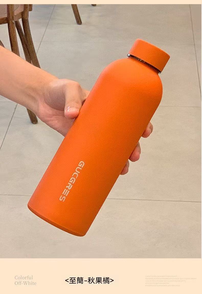 Minimalist Frosted Portable Sports Water Bottle (Summer Sale Price 🧧)