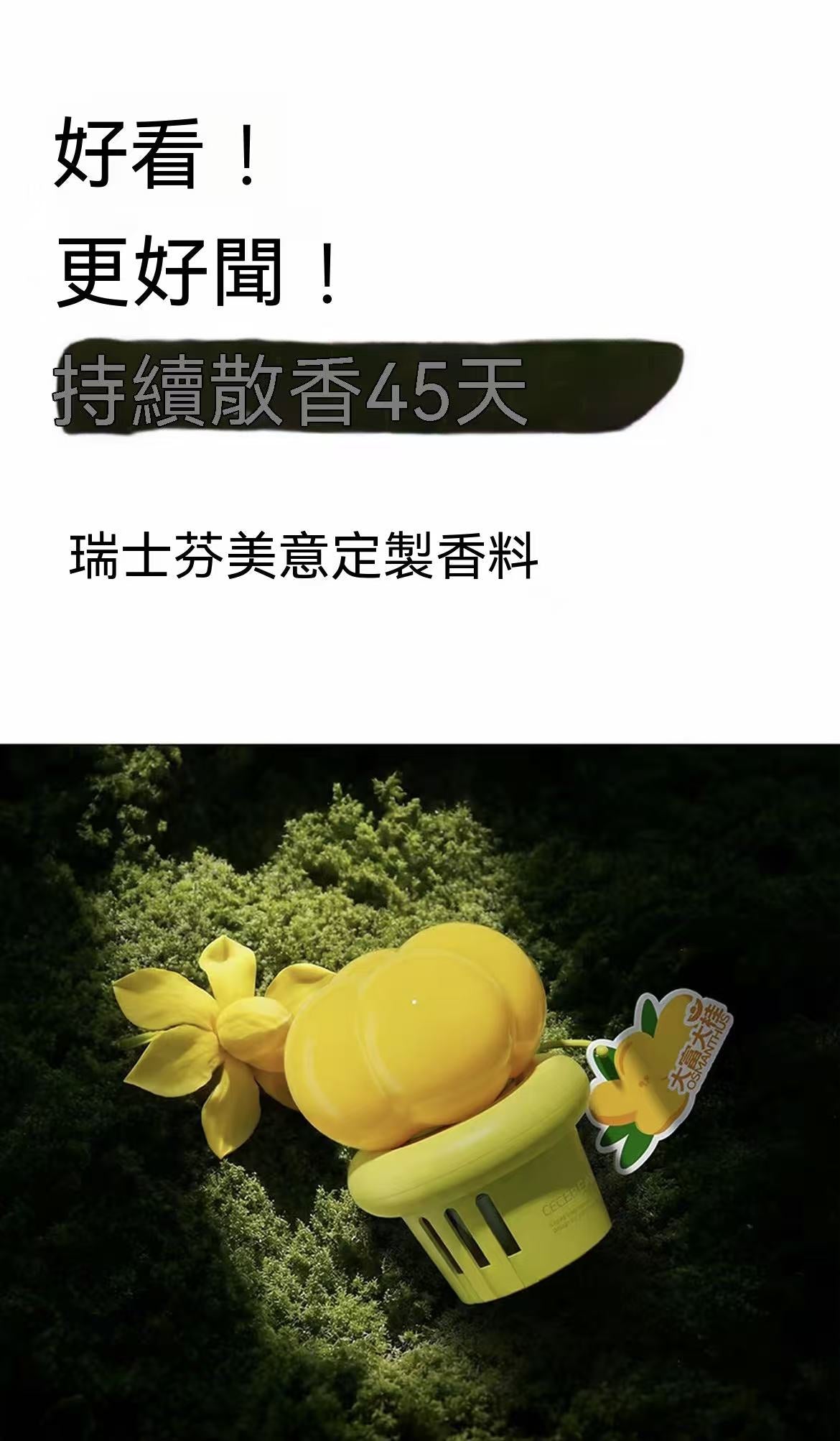 （超愛！）多肉倒置香氛