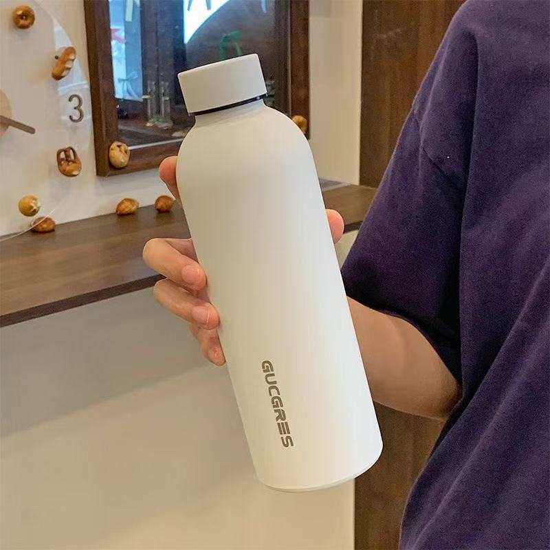 Minimalist Frosted Portable Sports Water Bottle (Summer Sale Price 🧧)