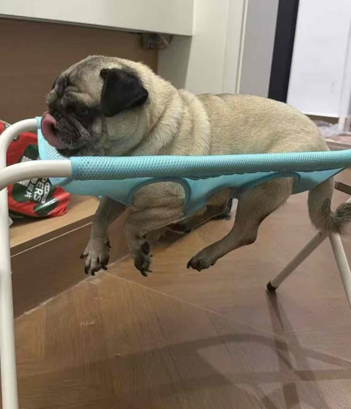 Pet Grooming Hammock Stand