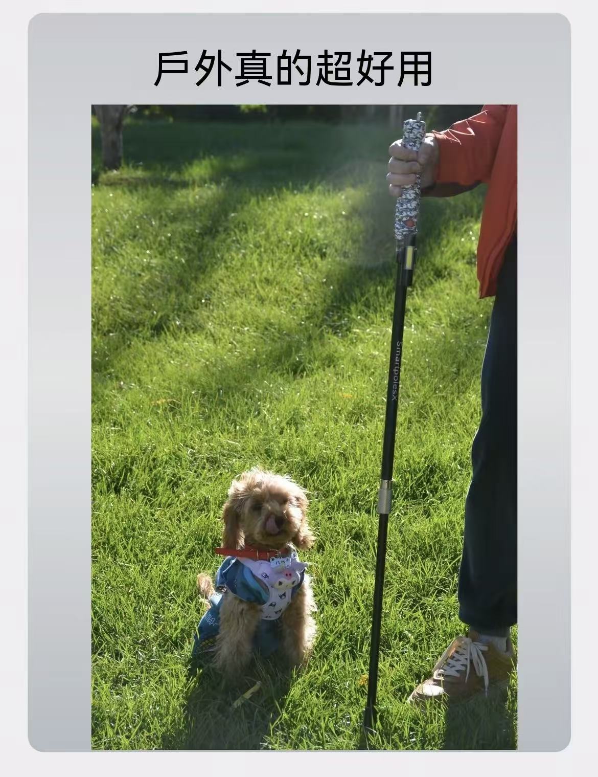 Retractable Aviation Aluminum Electric Dog Training Outdoor Climbing Tool