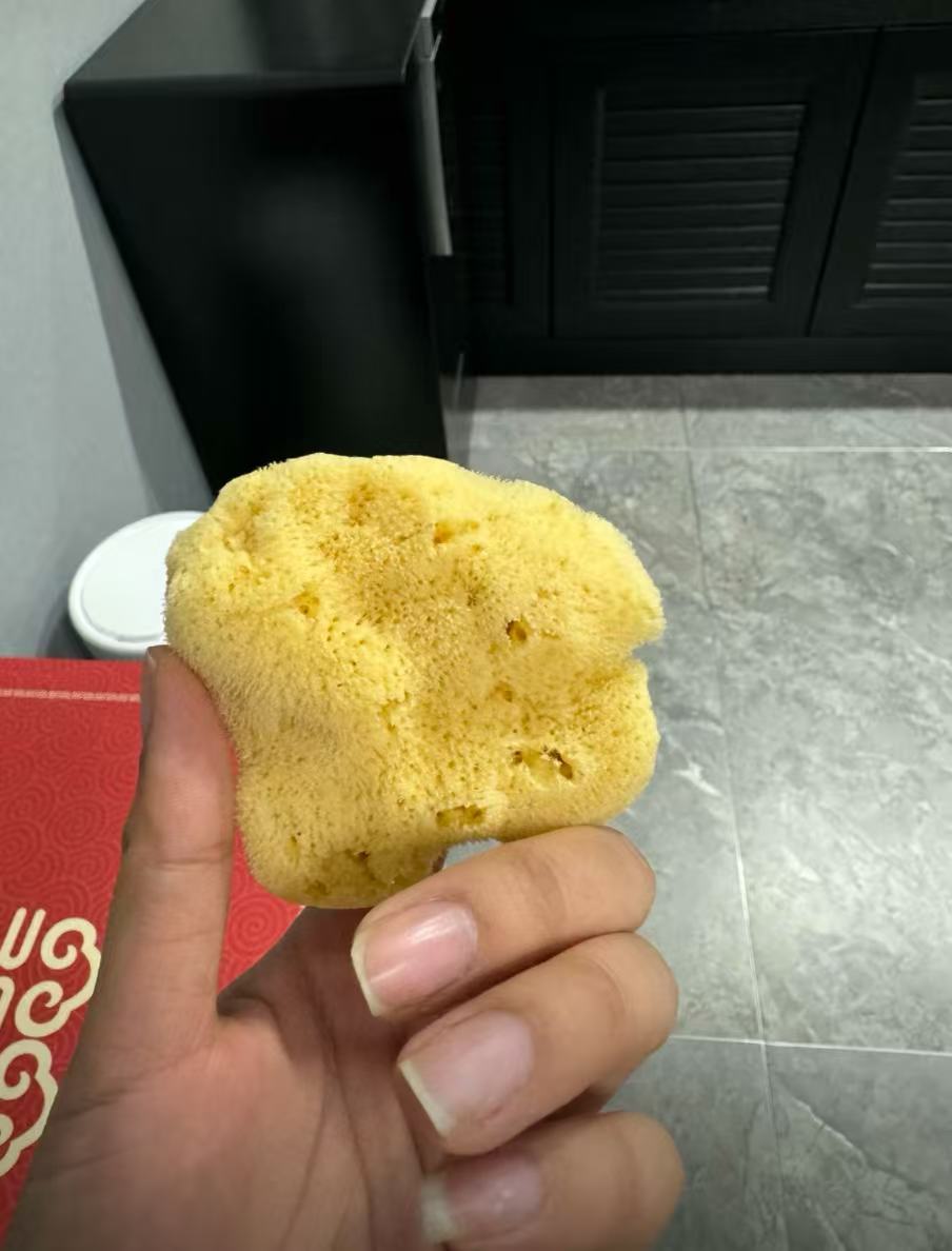 希臘進口天然絲絨海綿