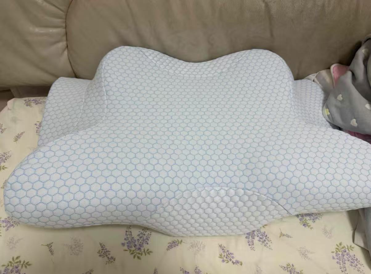 TOKAWA Osaka Tokawa Neck Master Anti-Snoring Neck Pillow