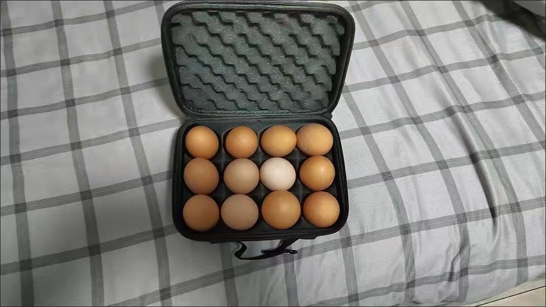 EVA hard-shell shockproof egg storage box (outdoor camping model)