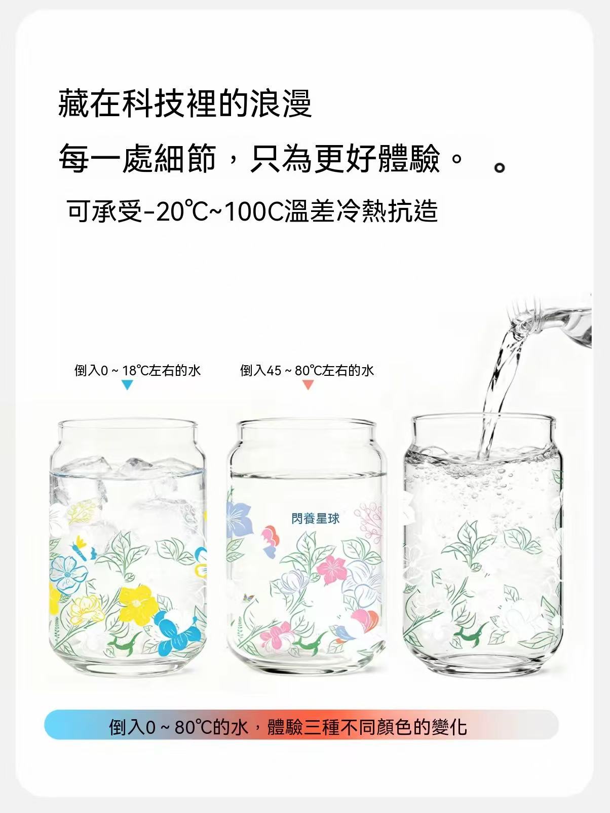 綜合原葉冷泡花果茶包