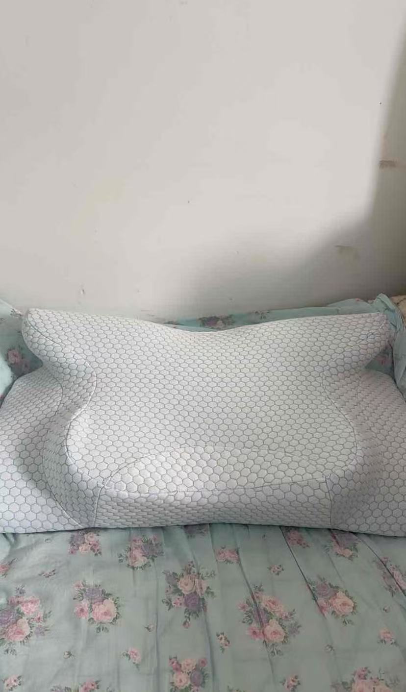 TOKAWA Osaka Tokawa Neck Master Anti-Snoring Neck Pillow