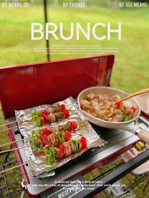 Outdoor gas double-burner stove cassette stove barbecue portable