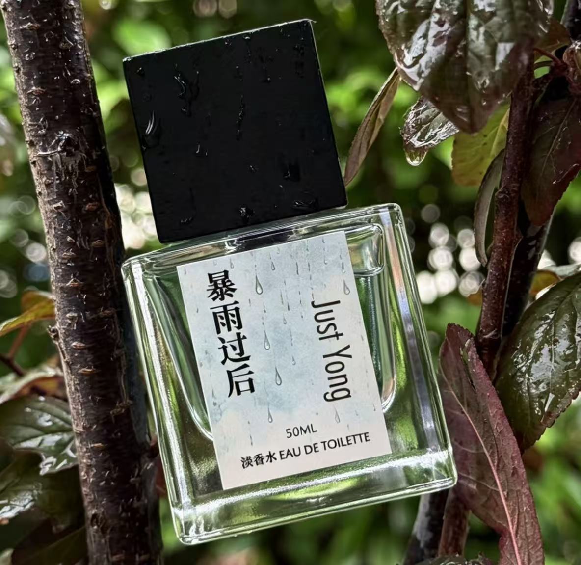 Just Yong 暴雨过后淡香水