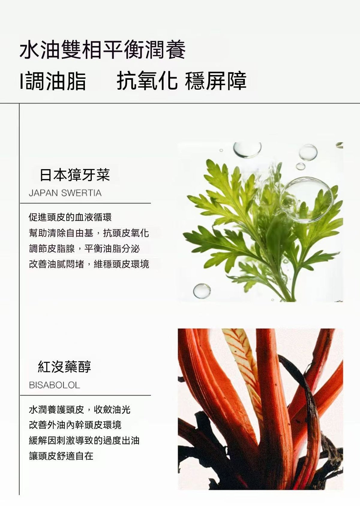 JENSY小氣泡爆香奢養洗髮水