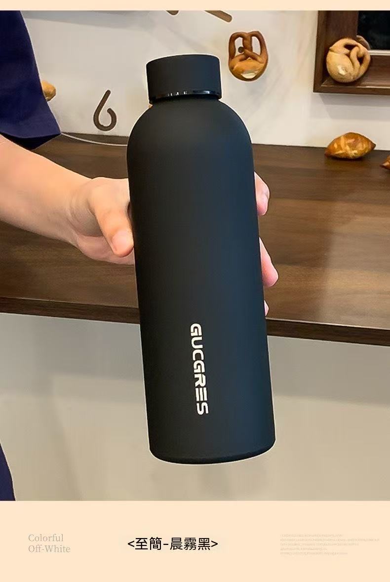 Minimalist Frosted Portable Sports Water Bottle (Summer Sale Price 🧧)