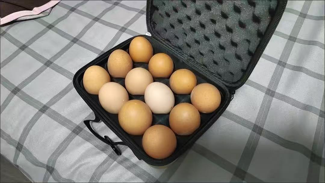 EVA hard-shell shockproof egg storage box (outdoor camping model)