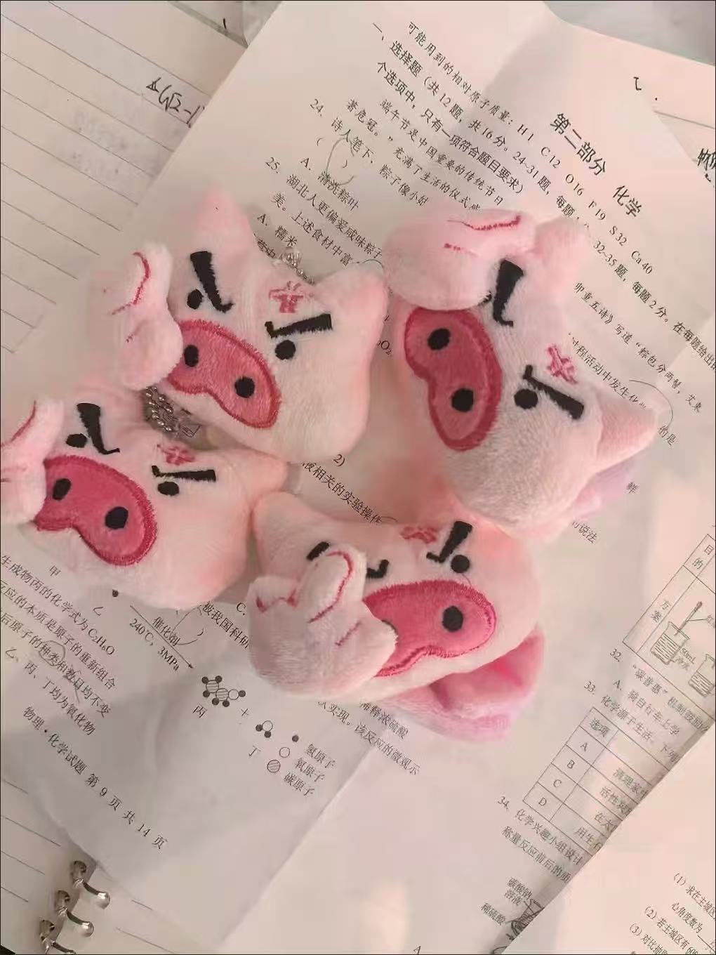 （素質豬🐷）憤怒中指小豬毛絨掛件