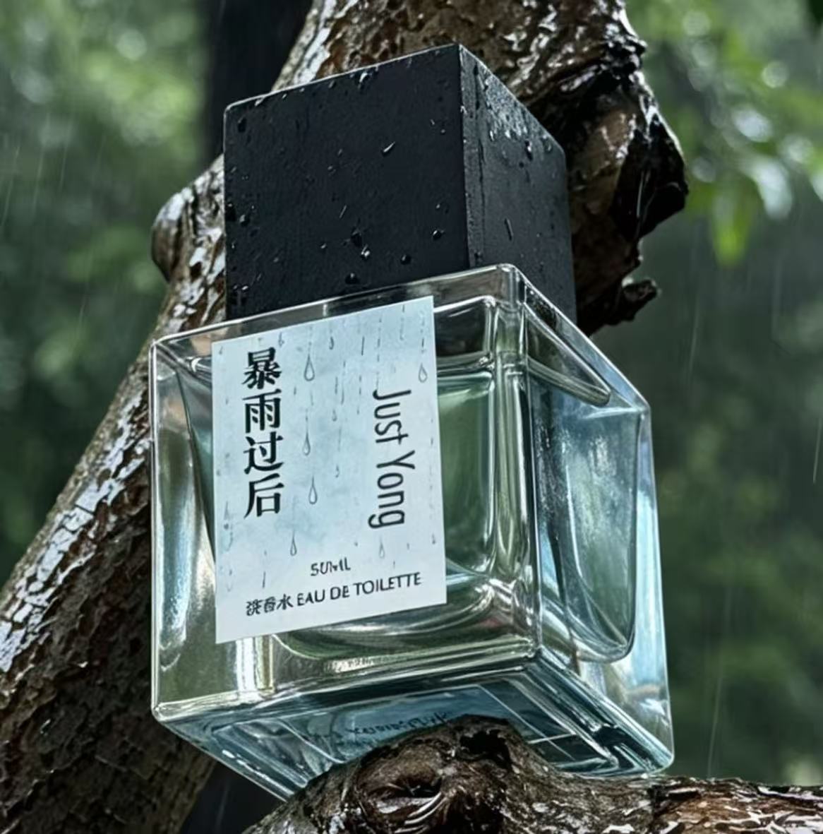 Just Yong 暴雨过后淡香水