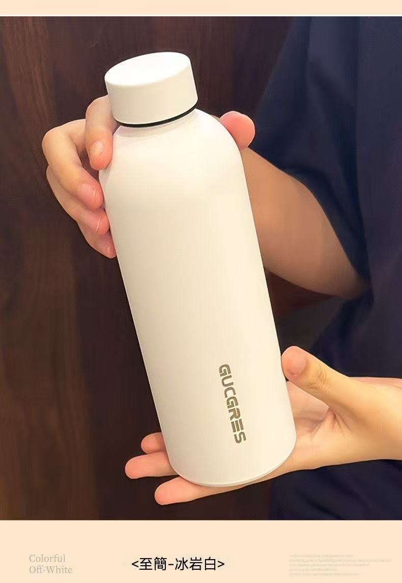 Minimalist Frosted Portable Sports Water Bottle (Summer Sale Price 🧧)
