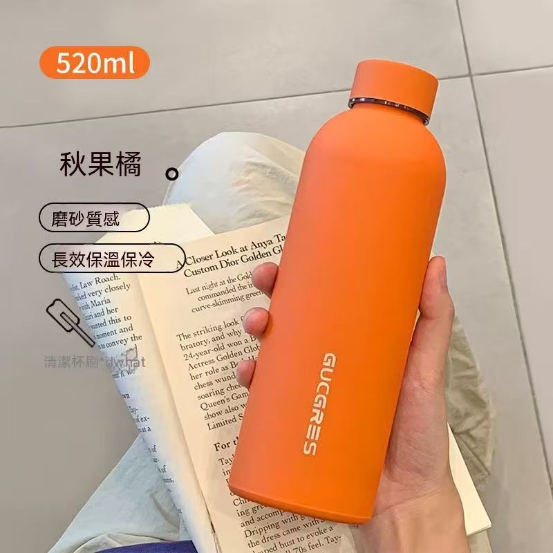 Minimalist Frosted Portable Sports Water Bottle (Summer Sale Price 🧧)