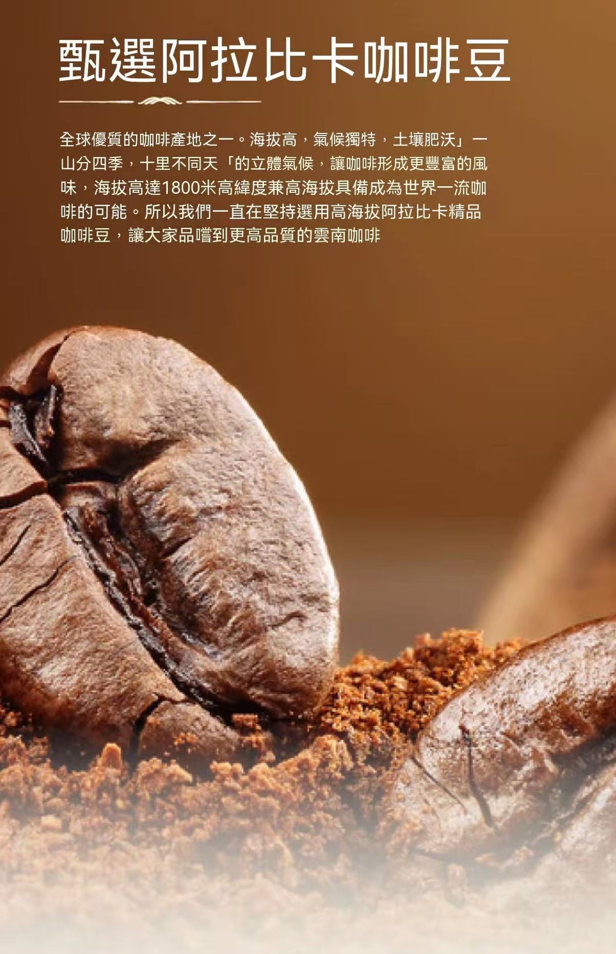 金烘凍乾黑咖啡（贈送打泡器，咖啡杯）