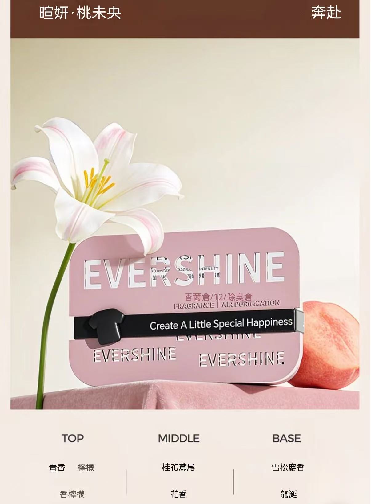 EVERSHINE Car Solid Perfume