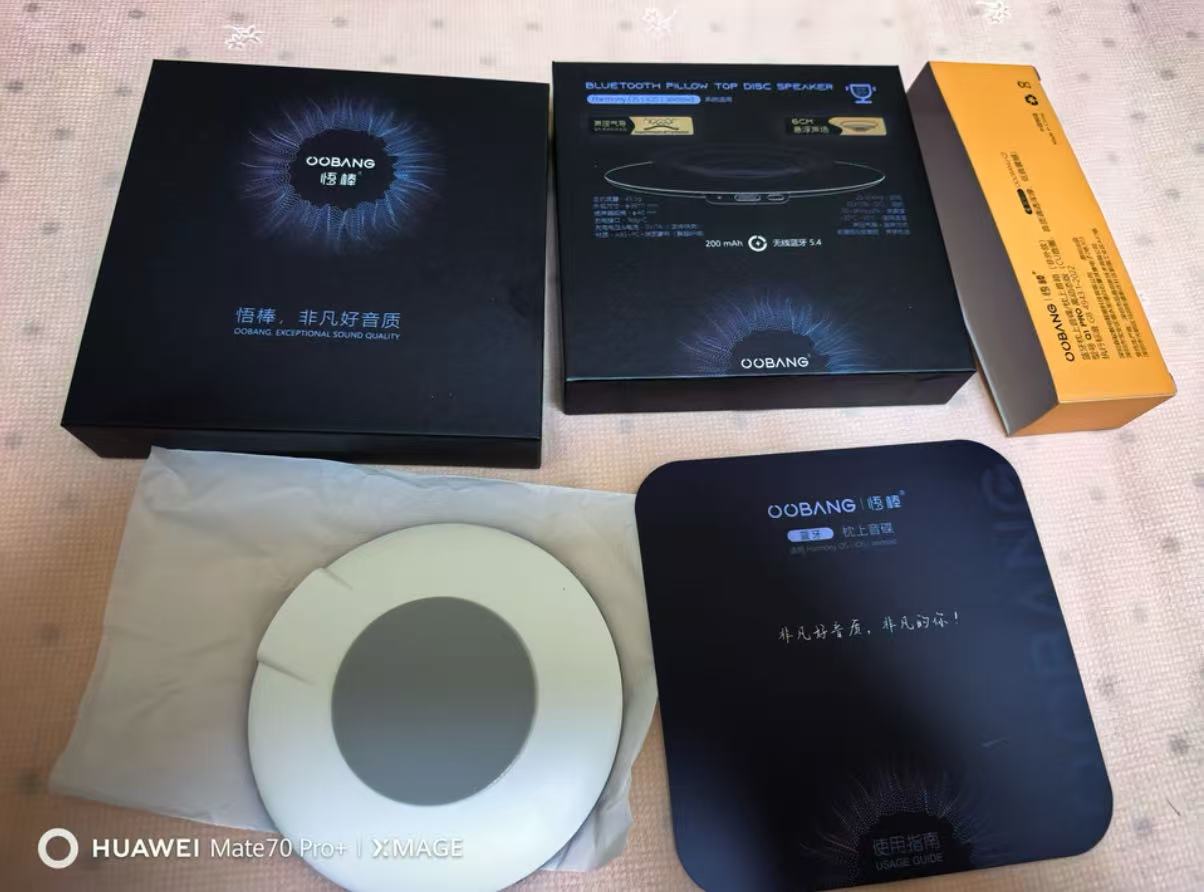 [Pillow Audio Disc] A must-have for listening to music