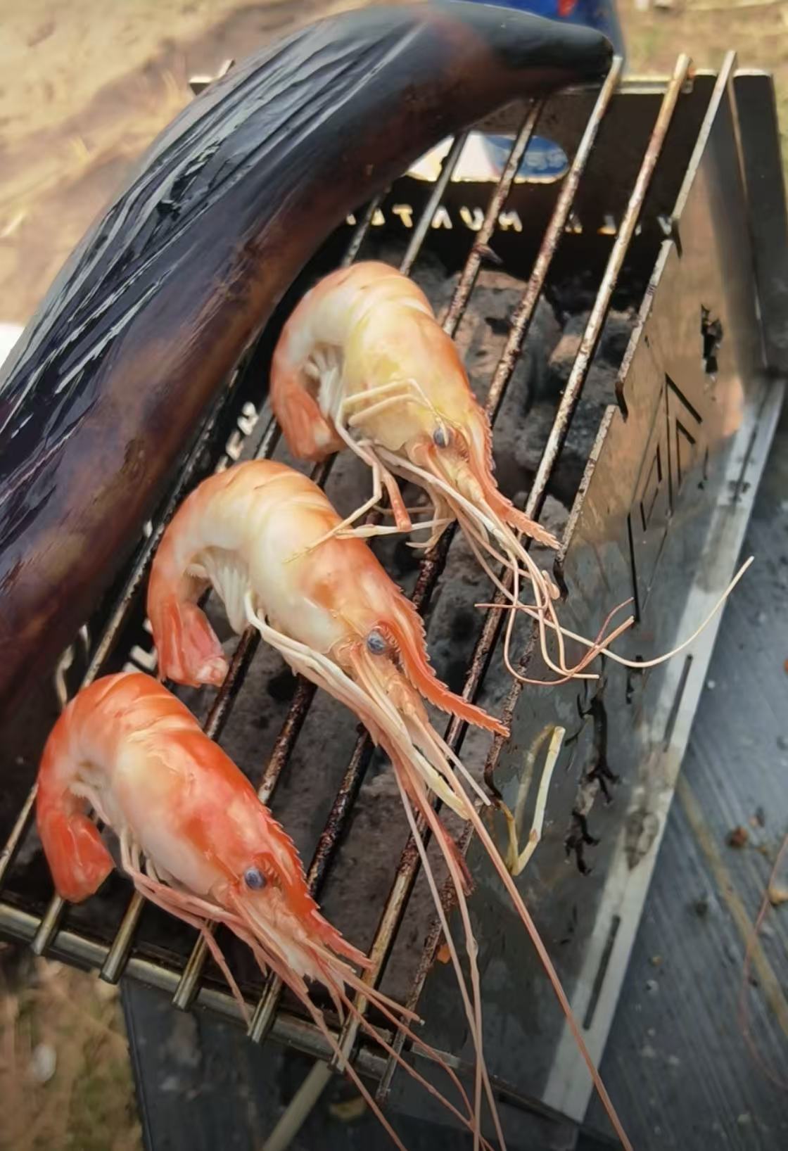 Thickened Stainless Steel Barbecue Stove Deer Hollow Foldable Fire Pit